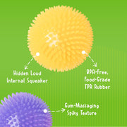 Interactive Squeaker Ball For Dogs