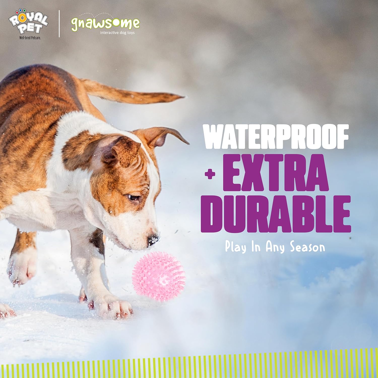 Interactive Squeaker Ball For Dogs