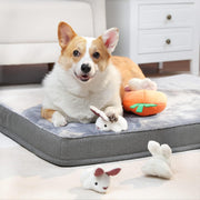 Interactive Squeaky Rabbit Dog Toy