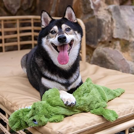 Interactive Stuffless Dog Toy Pack
