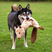 Interactive Stuffless Dog Toy Pack