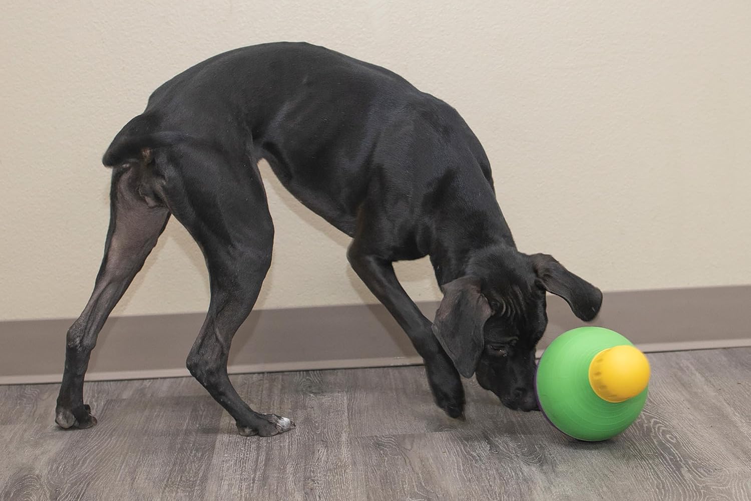 Interactive Treat Dispensing Dog Toy