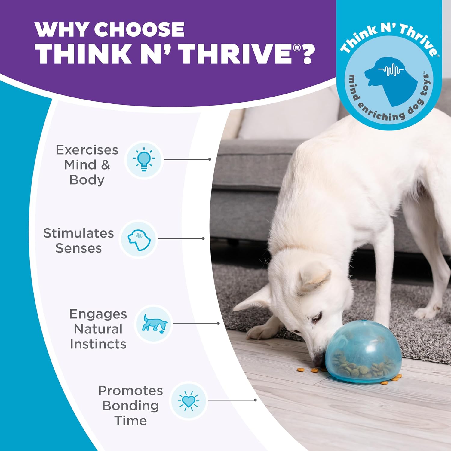 Interactive Treat Dispensing Puzzle Ball
