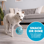 Interactive Treat Dispensing Puzzle Ball