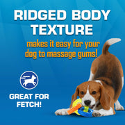 Interactive Triple Ring Tug Toy