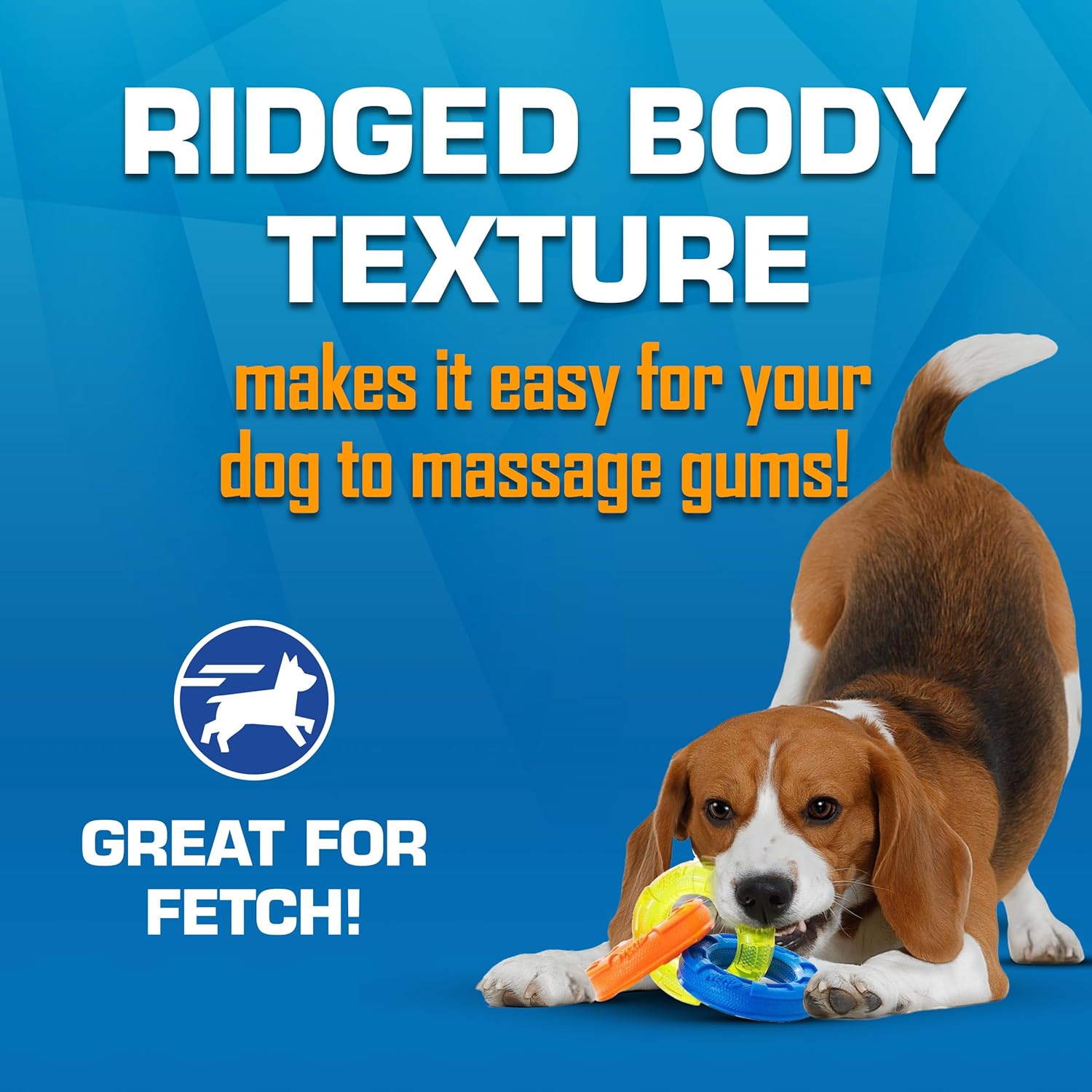 Interactive Triple Ring Tug Toy