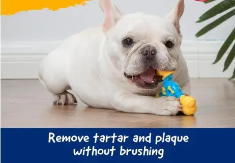 TriBone Dental Chew Toy for Dogs