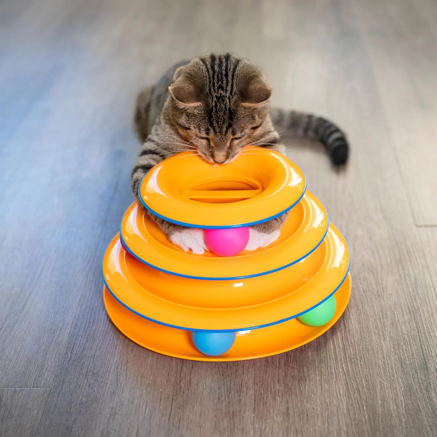 Replacement Balls for Cat Track Toys (6-Pack)