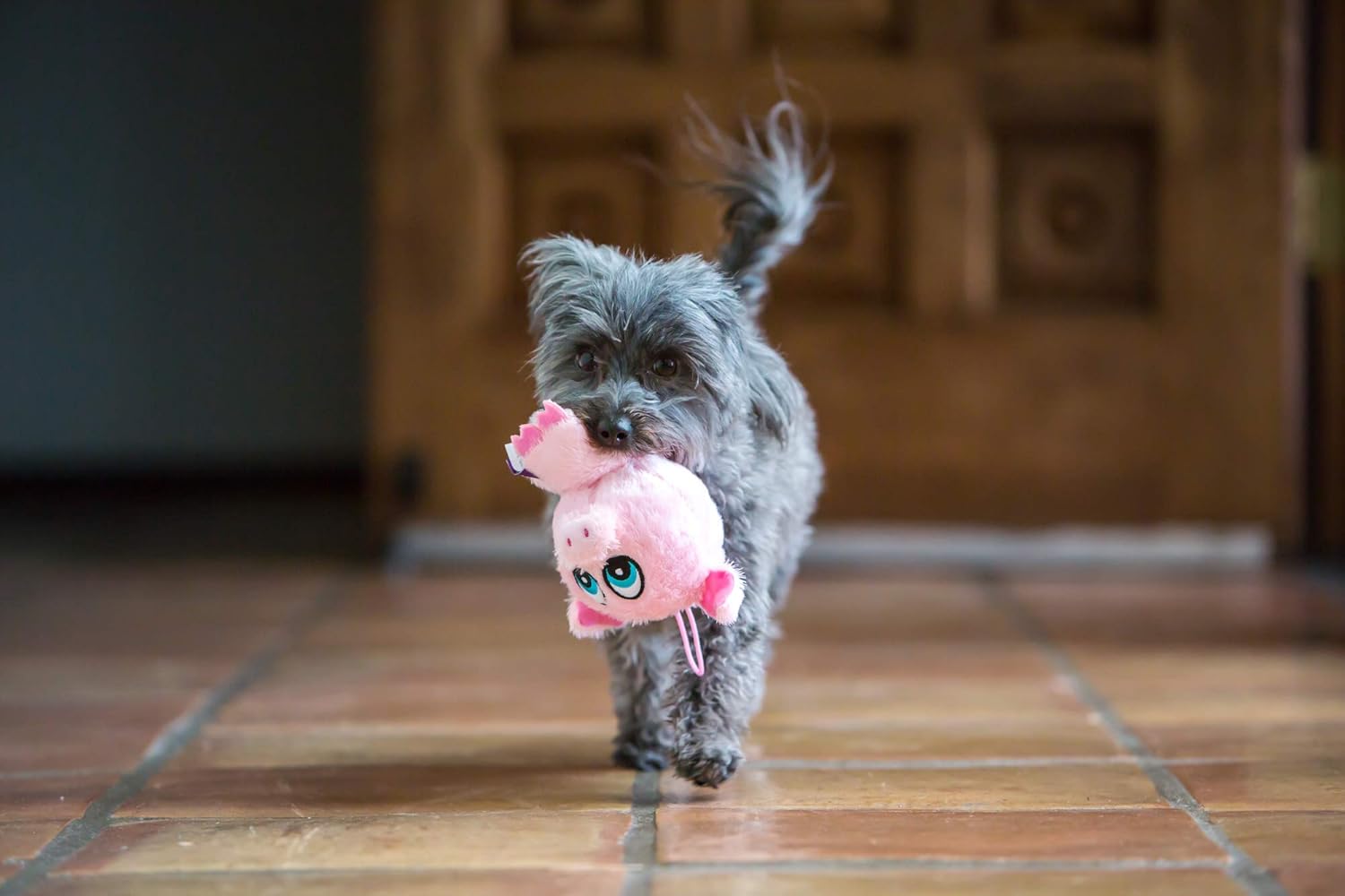 Knobby Pig Plush Dog Toy