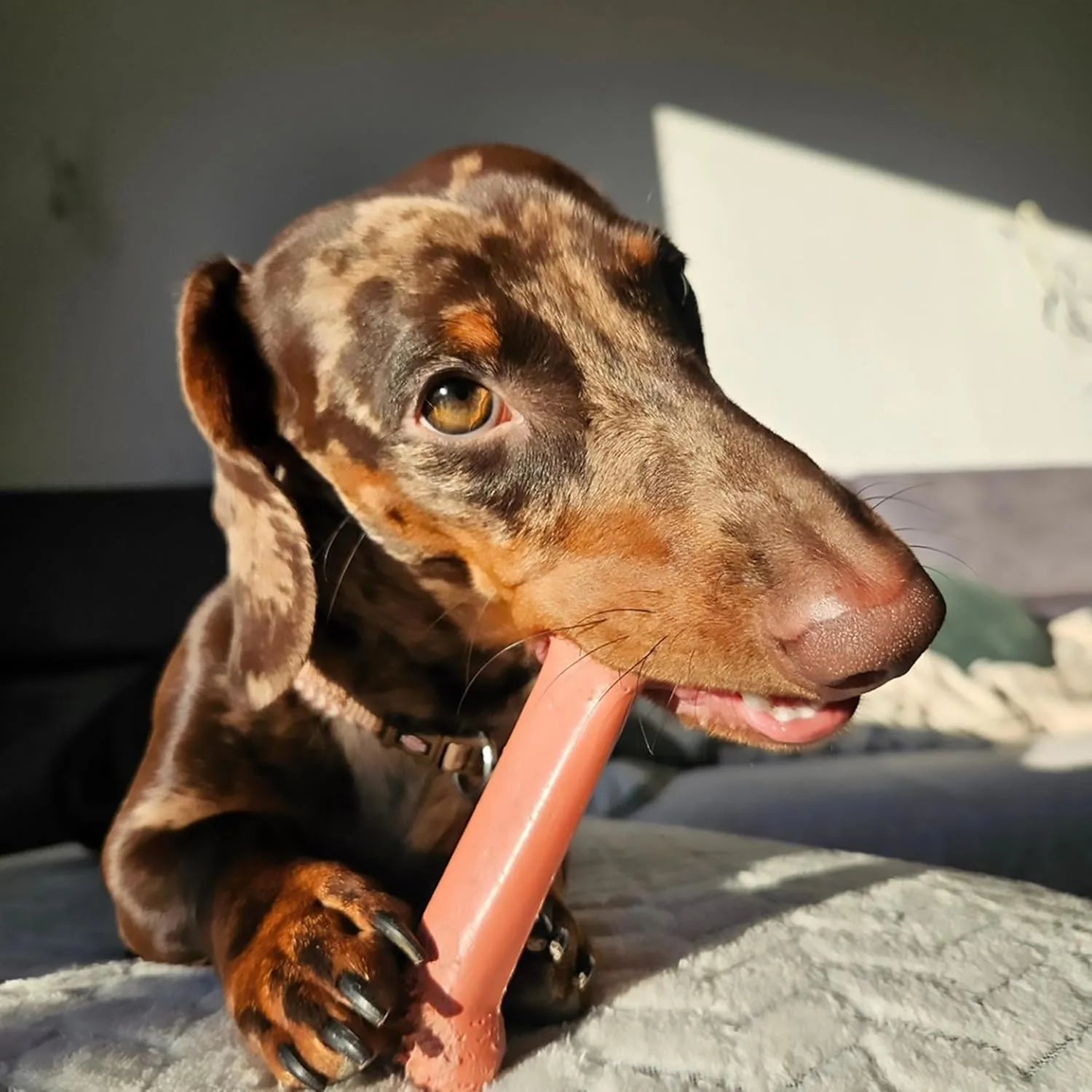 Original Flavor Dog Chew Bone Set (2 Pack)