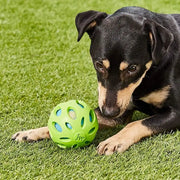 Crunchy Crackle Ball Dog Toy