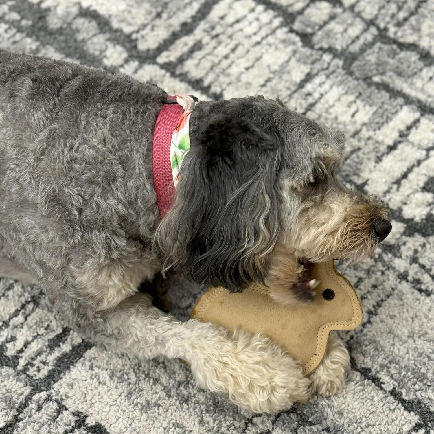 Leather Rabbit Squeaky Dog Toy