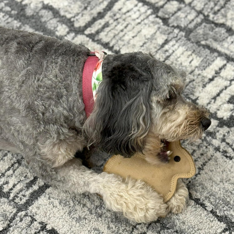Leather Rabbit Squeaky Dog Toy
