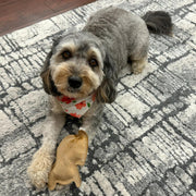 Leather Rabbit Squeaky Dog Toy