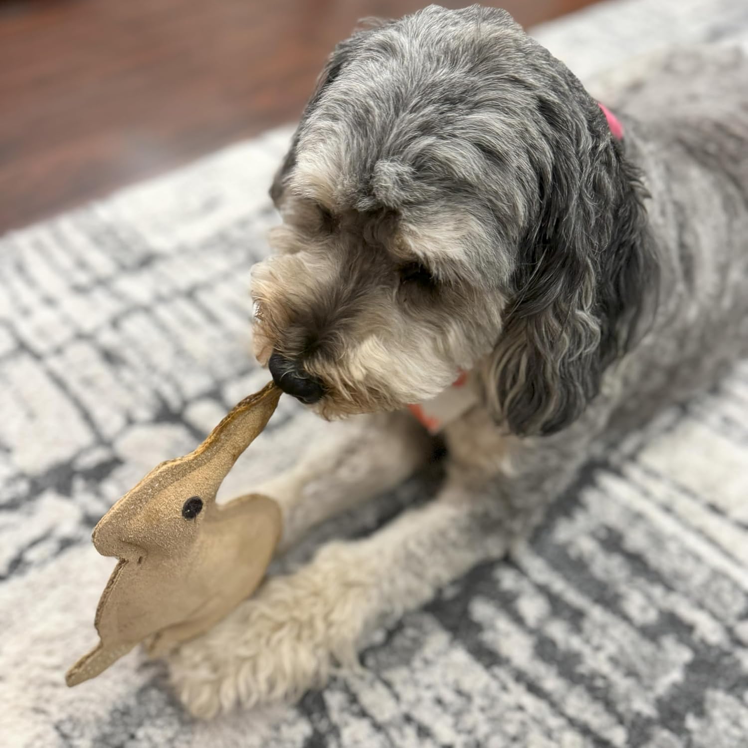 Leather Rabbit Squeaky Dog Toy