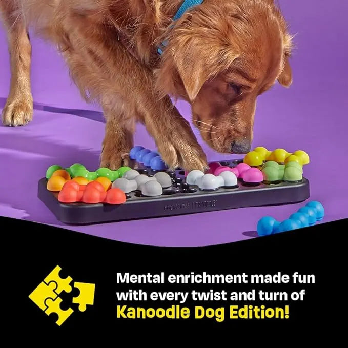 Interactive Dog Puzzle Treat Game