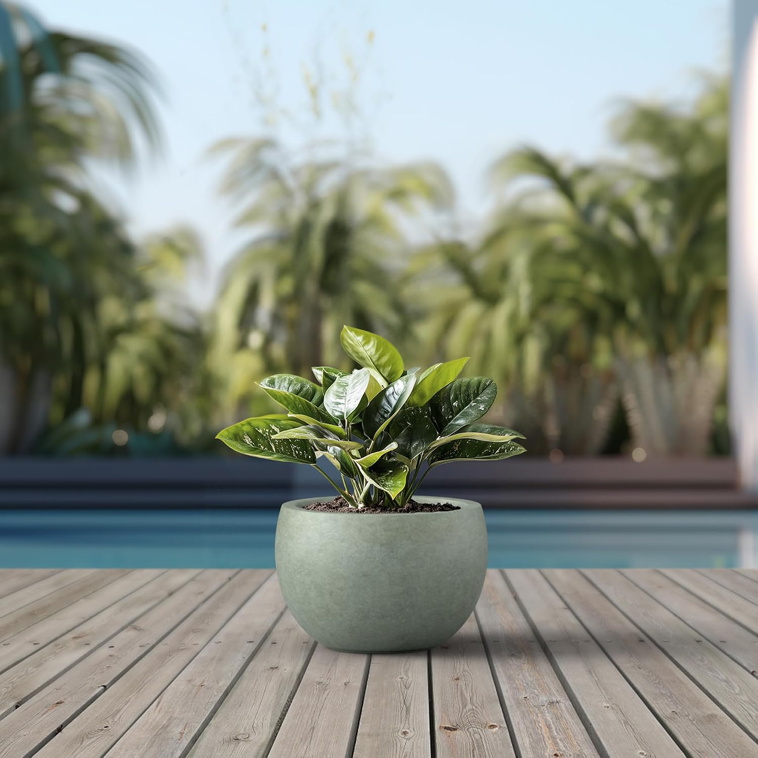 Lightweight Concrete Planter