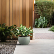 Lightweight Concrete Planter