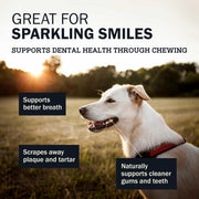 Long Lasting Chew Tire Pack