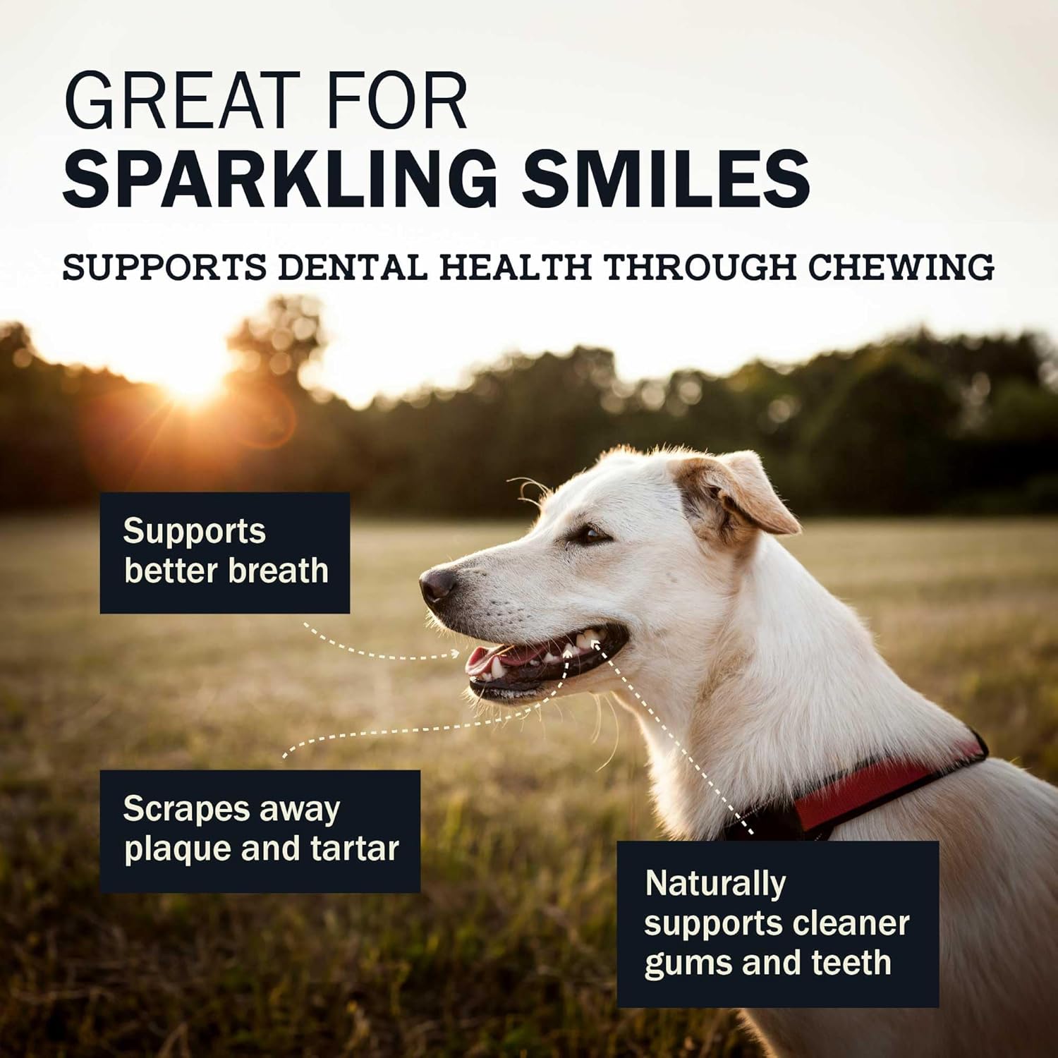 Long Lasting Chew Tire Pack