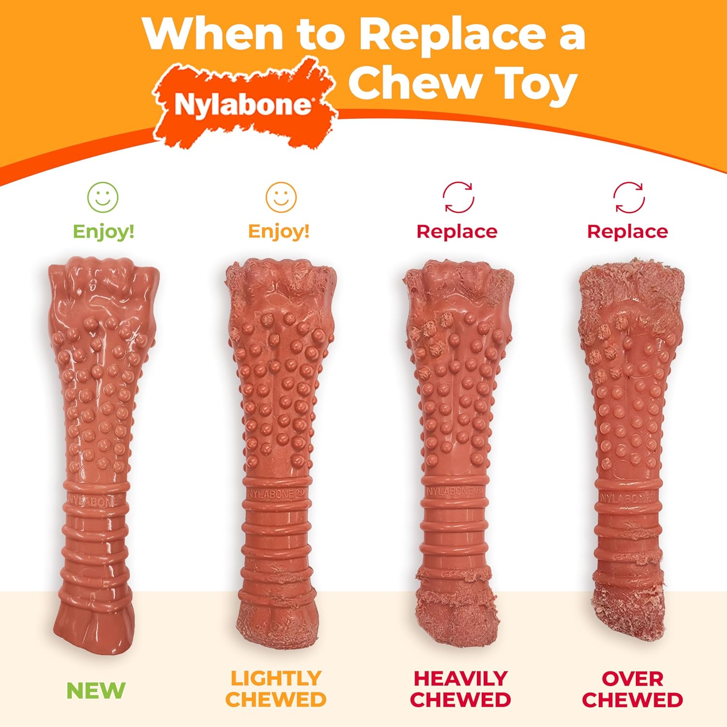 Long Lasting Dog Chew Set