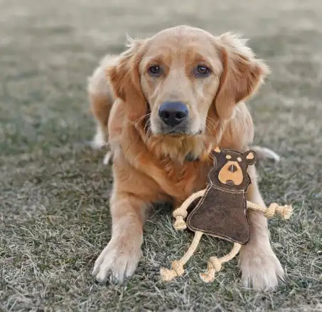Leather Forest Animal Dog Toy