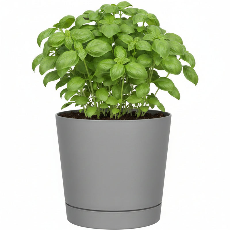 Majestic Cylinder Planter