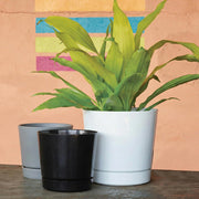 Majestic Cylinder Planter