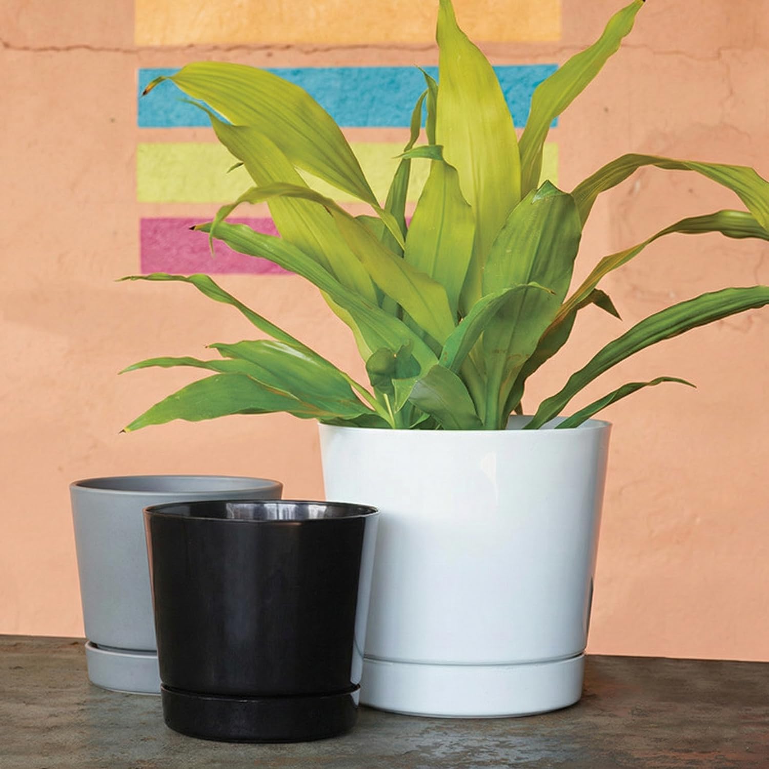 Majestic Cylinder Planter