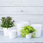Majestic Cylinder Planter Pot