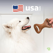 Medium Dental Bacon Chew Bone