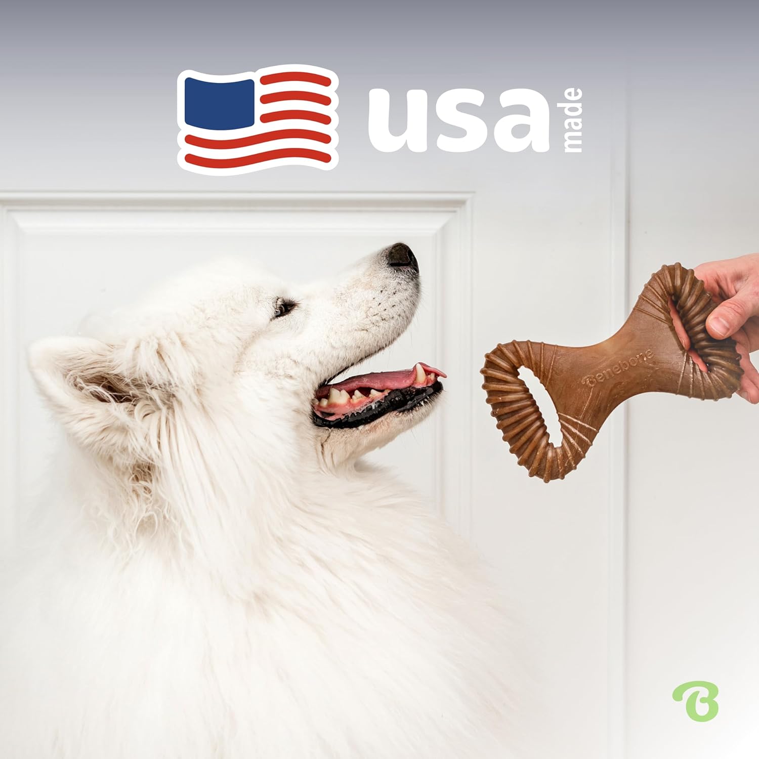 Medium Dental Bacon Chew Bone