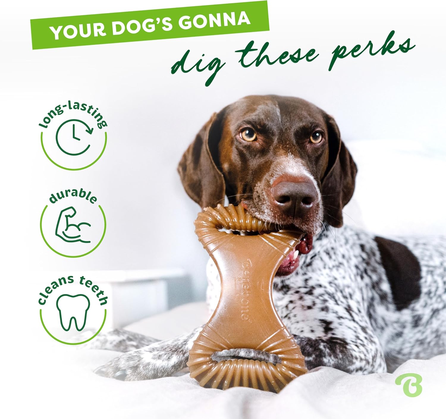 Medium Dental Bacon Chew Bone