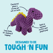 Mini Dinosaur Squeaky Plush Toy