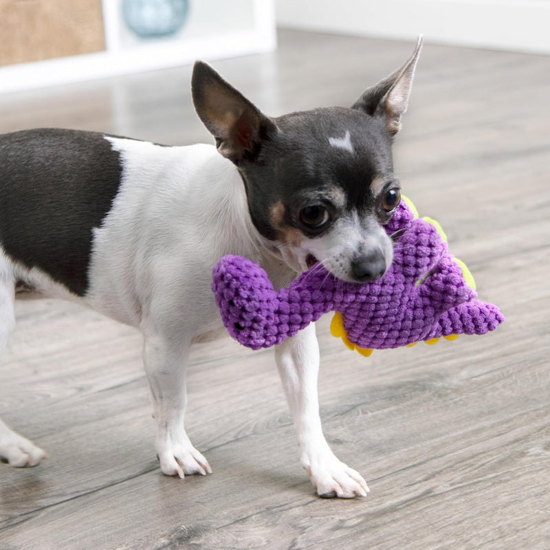 Mini Dinosaur Squeaky Plush Toy