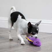 Mini Dinosaur Squeaky Plush Toy