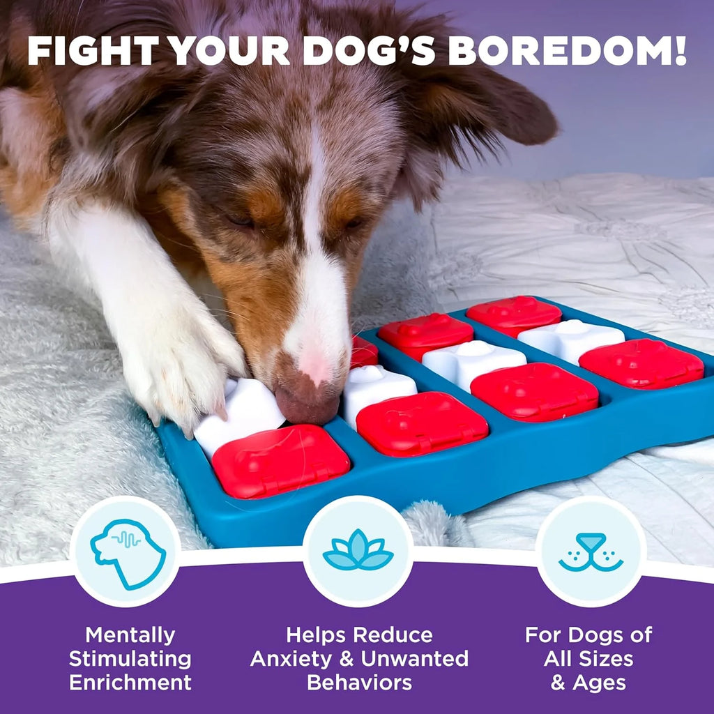 Interactive Dog Treat Puzzle Toy