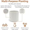 Modern Ceramic Planter