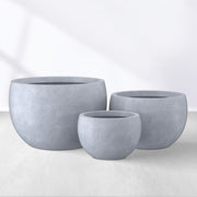 Modern Concrete Bowl Planter