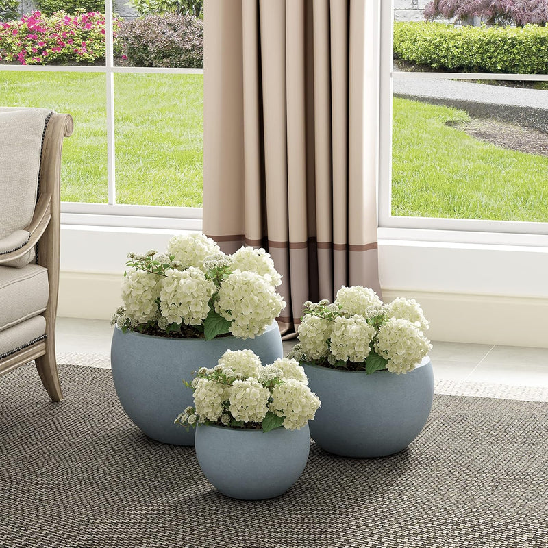 Modern Concrete Bowl Planter