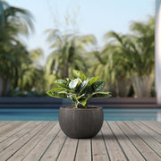 Modern Concrete Planter