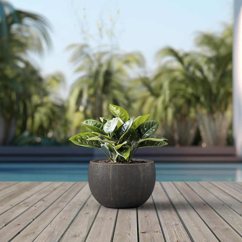 Modern Concrete Planter