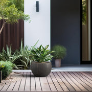 Modern Concrete Planter