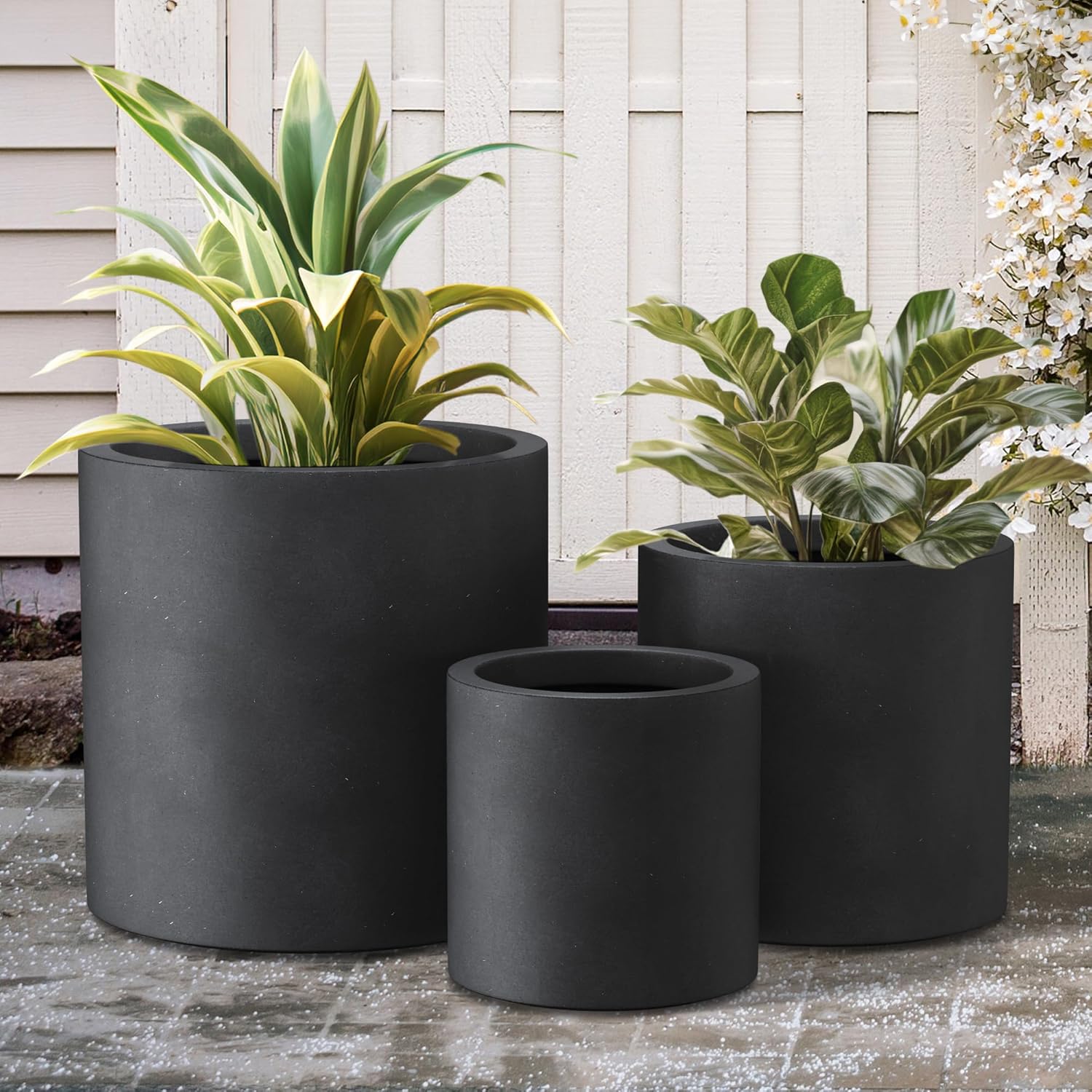 Modern Concrete Planter