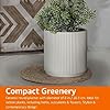Modern Fluted Planter