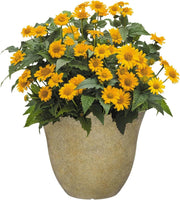 Modern Resin Planter