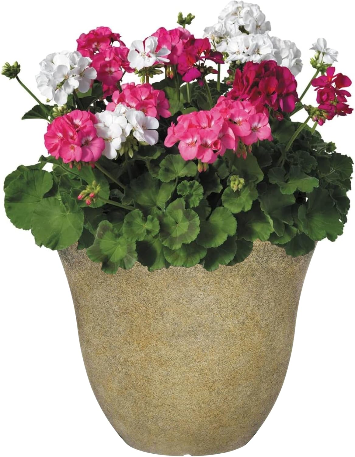 Modern Resin Planter