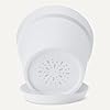 Modern White Planter