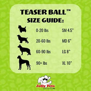 Interactive Teaser Ball Dog Toy