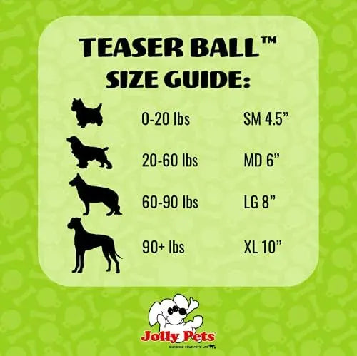 Interactive Teaser Ball Dog Toy